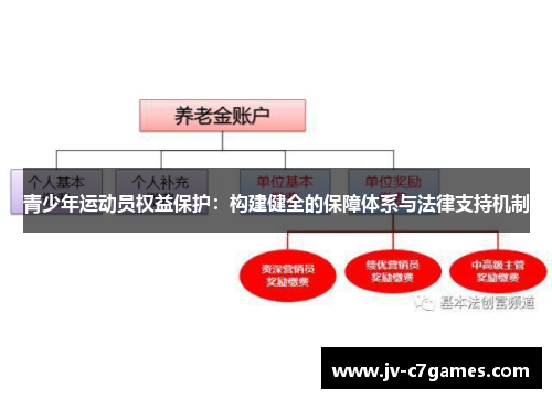青少年运动员权益保护：构建健全的保障体系与法律支持机制